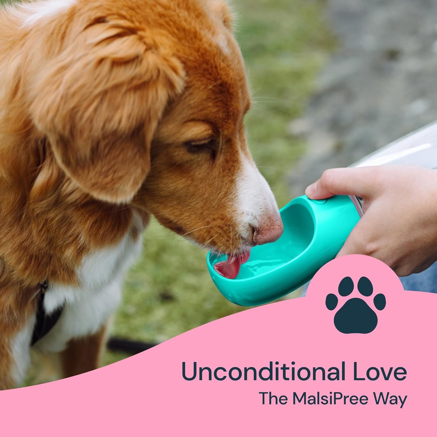 Dog Water Bottle, Lightweigh, Leak Proof Portable Travel Dog Water Dispenser - Perfect Puppy Drinking Bowl on the Go for Outdoor Walking and Hiking - Pet Accessories (19Oz, Blue)