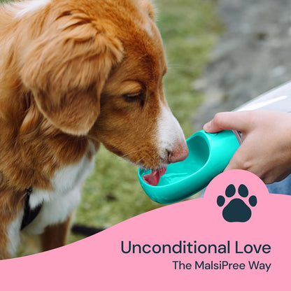 Dog Water Bottle, Lightweigh, Leak Proof Portable Travel Dog Water Dispenser - Perfect Puppy Drinking Bowl on the Go for Outdoor Walking and Hiking - Pet Accessories (19Oz, Blue)